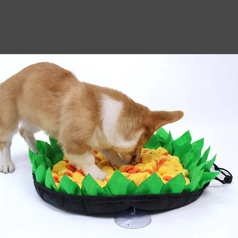 

New Pet Sniffing Pad Dog Training Pad Cat Dog Anti Choking Dog Sniffing Pad