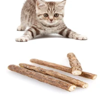 37pcs pet cat snack toy wood chew toy pet actinidia polygama wood chew clean teeth toys supplie pet cat toy teeth clean product