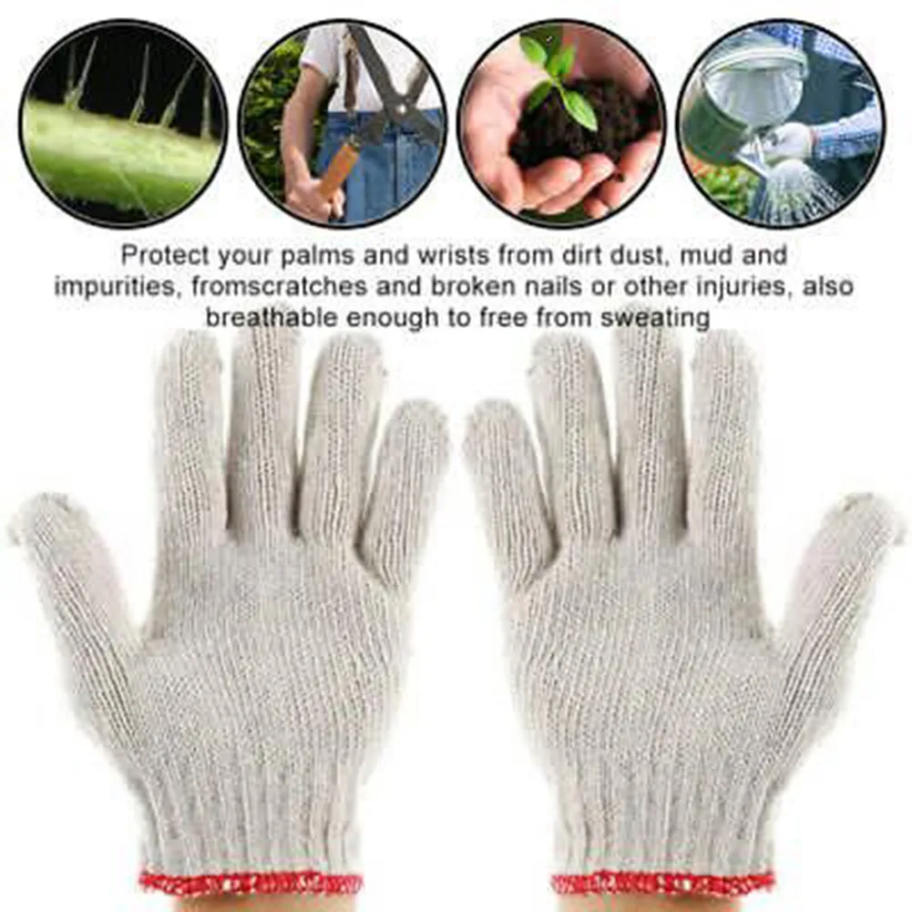 

Starter Nursery Pot Tools Trays With Labels 12 Cell 3pcs Gloves Growing