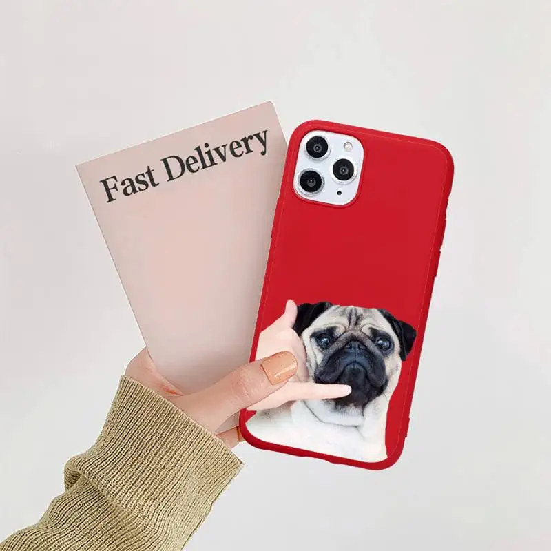 

Cute funny animal bulldog art Phone Case Candy Color for iPhone 11 12 mini pro XS MAX 8 7 6 6S Plus X SE 2020 XR