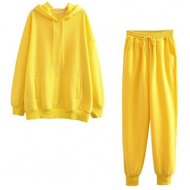 

2020 Autumn Winter Women Thick Fleece Solid Suit 2 Pieces Sets Hoodies Sweatshirt And Pants Suits