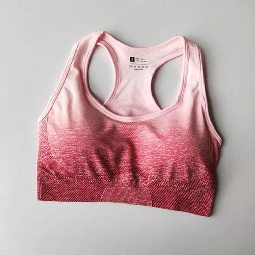 Rose red Ombre бесшовный ударопрочный спортивный бюстгальтер для фитнеса йога борцовка бюстгальтер Топ со съемной прокладкой пуш-ап бюстгальтер для тренировок активная одежда - Цвет: Rose red