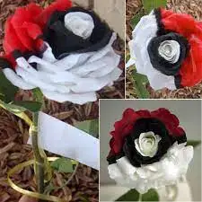 

Редкая Черная жемчужина фотография, 50 шт., бесплатная доставка