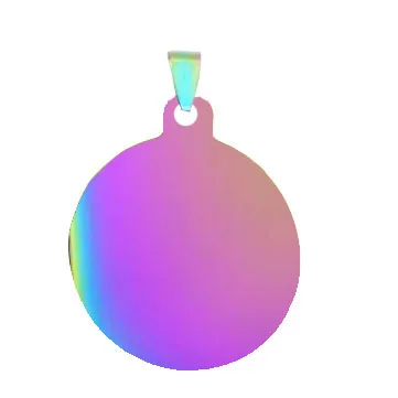 Colorful 100 шт./лот Нержавеющая сталь снаружи-отверстие круг Жетоны для домашних питомцев, собак Кулоны из нержавеющей стали круглый Жетоны для питомцев с зеркальной поверхностью - Цвет: Colorful