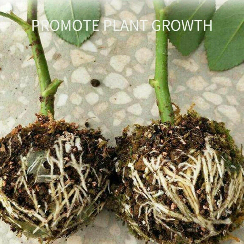

10x Plant Rooting Ball Grafting Rooting Growing Box Breeding Case For Garden Plant High-pressure Propagation Boxes Sapling