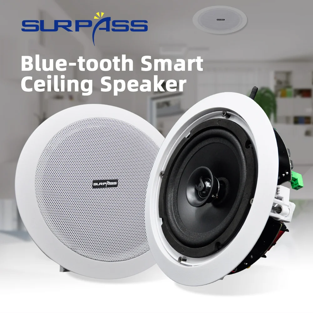 Home Audio WiFi Ceiling Speaker Bluetooth-compatible PA System 30w Stereo Sound Subwoofer Coxial 2-Way Loundspeaker with JR45