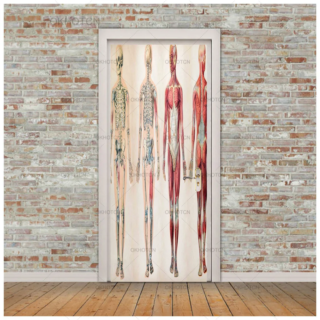Наклейки на двери медицинская человеческая модель наклейка Современная отделка
