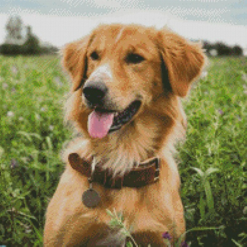 DIY фото на заказ Алмазная картина Картина полная квадратная Стразы вышивка