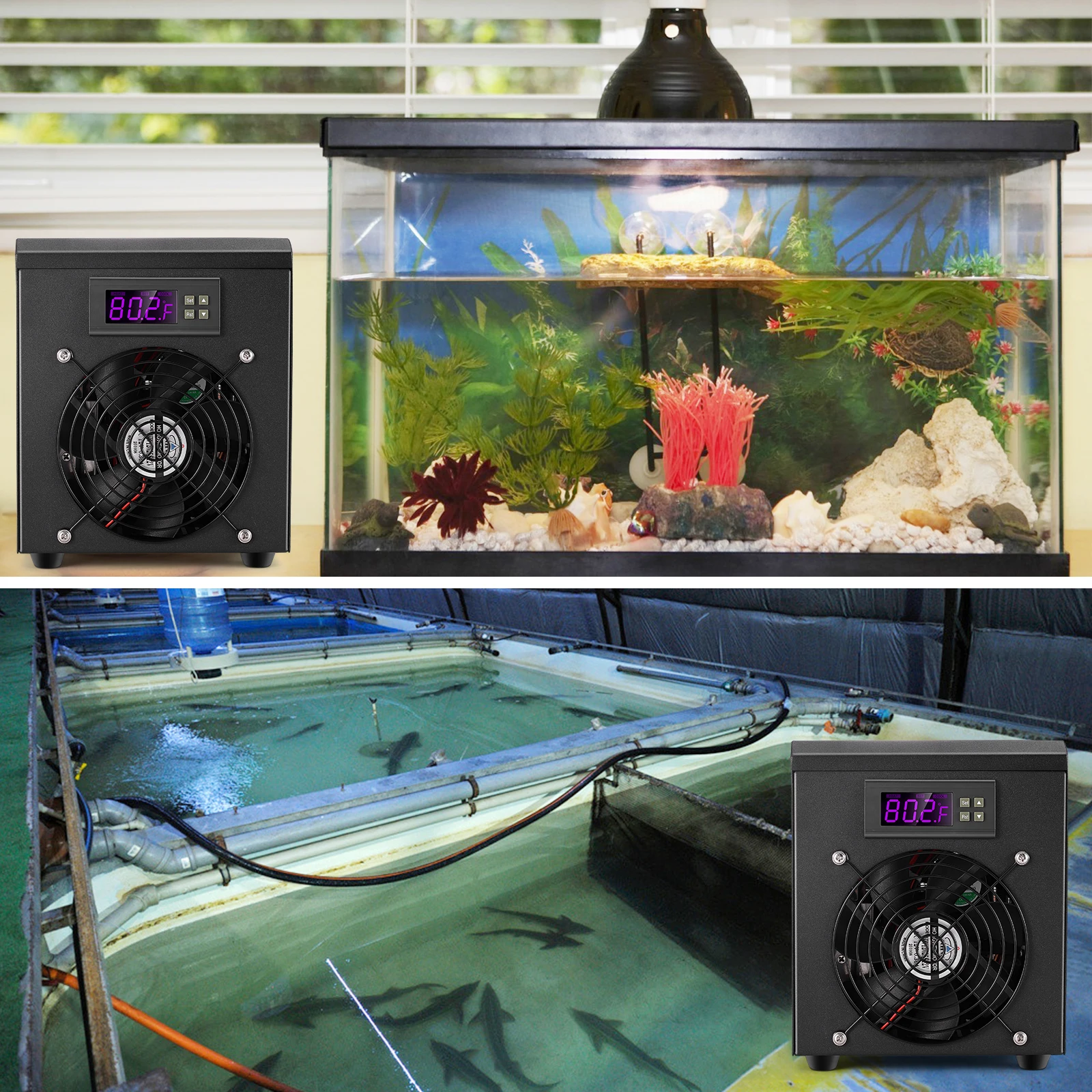 Sistema de calentador de tanque de peces, Enfriador de agua de 60L, 10-40 , ajuste de temperatura constante y silencioso, cr&iacute;a de camarones y peces en el hogar-2