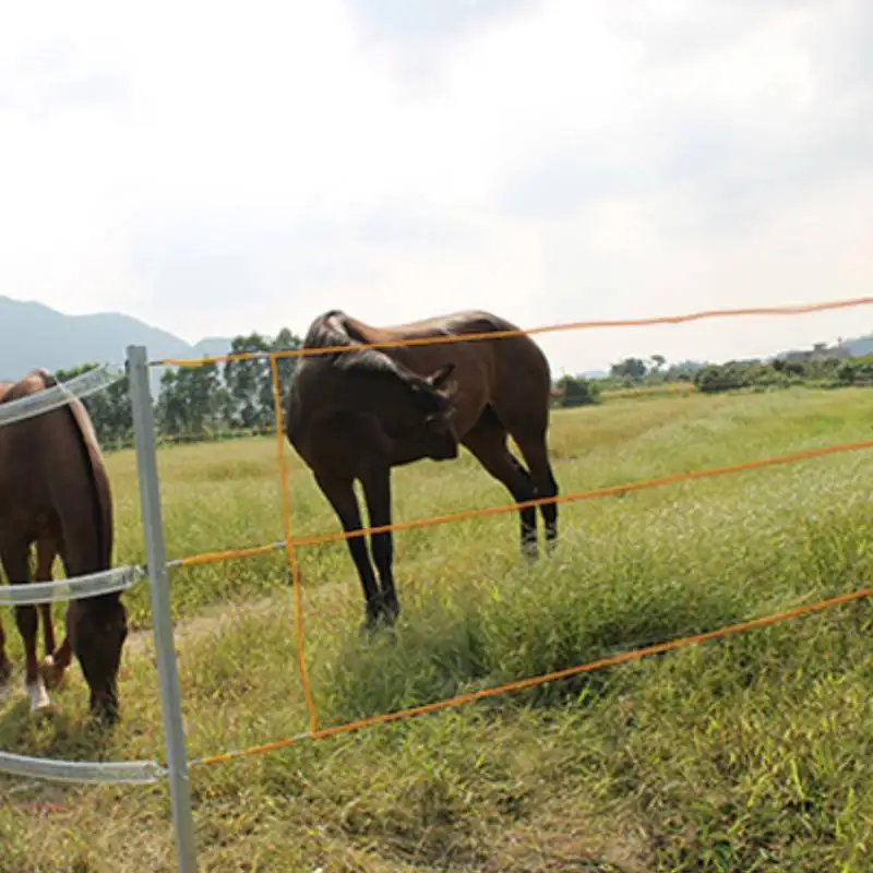 Электрический забор 400 м полипроволока со стальным поли-канатом для лошадей
