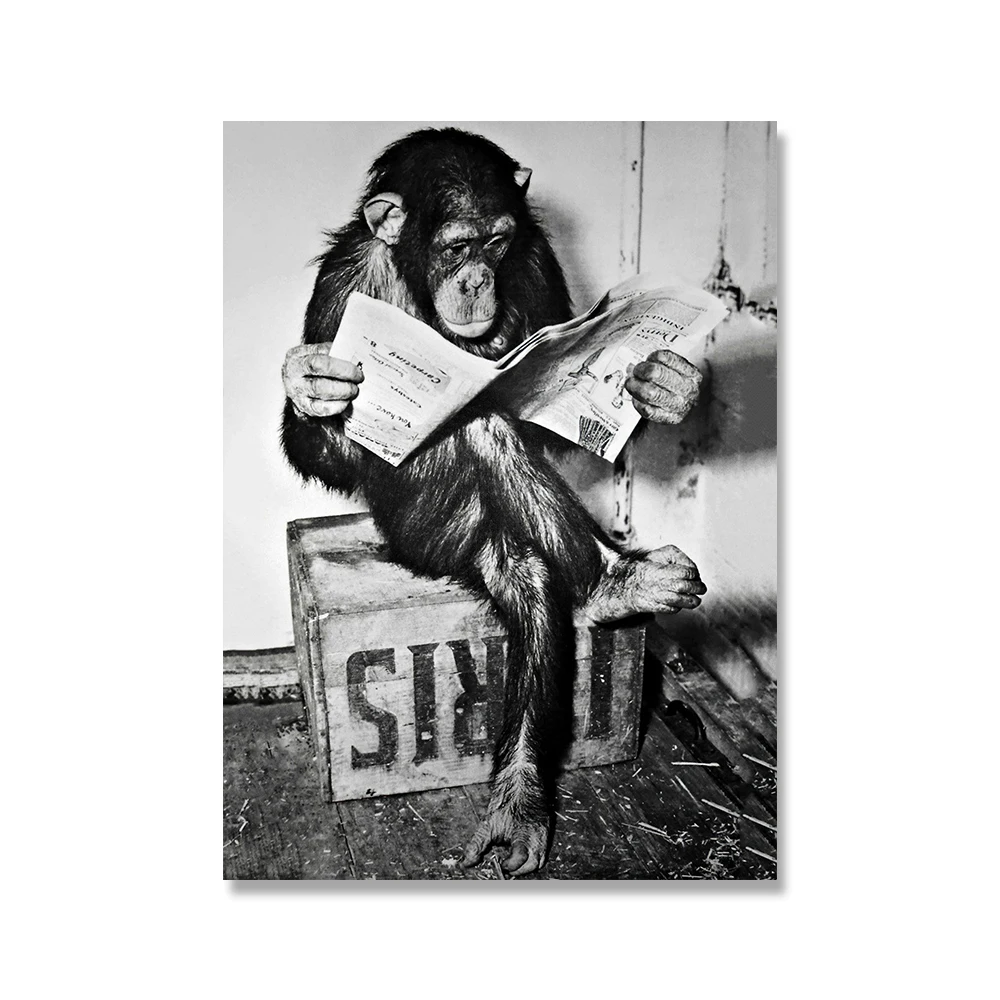 Декор для туалета черно-белые художественные картинки забавные постеры и принты