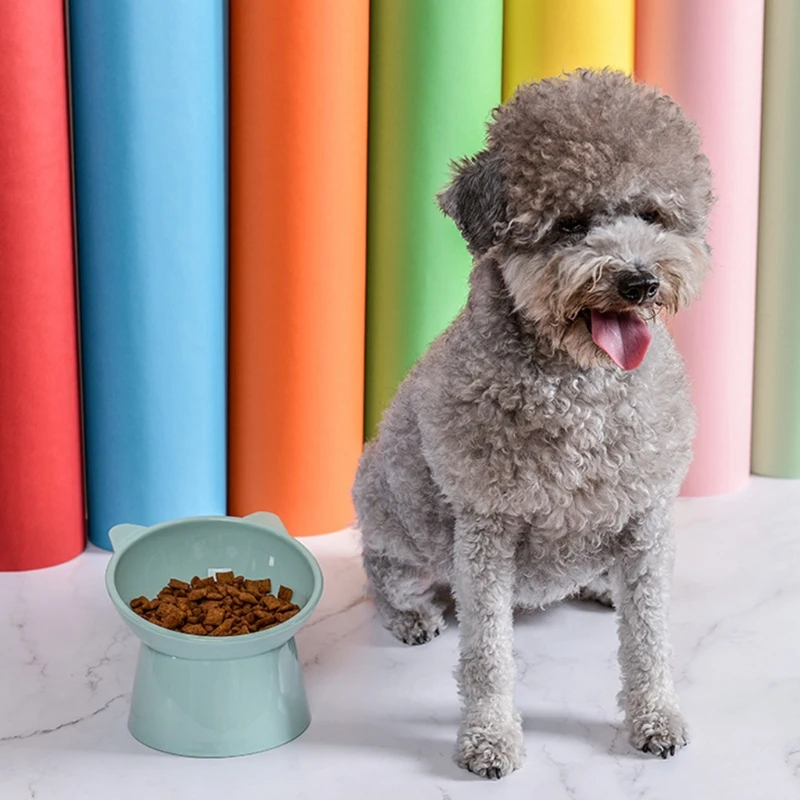 

Cat Elevated Bowls 45° Tilted Raised Dish Pet Feeding Bowl with Stand for Cats and Puppy Safe PP Material Easy to Clean