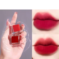 long lasting lip gloss moisturizing lipstick nourish matte lipstick portable lip gloss waterproof lip cosmetic makeup tools