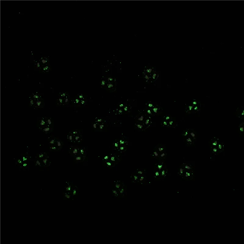 Полимерная Горячая глина 100 г/лот в форме ночного свечения для рукоделия