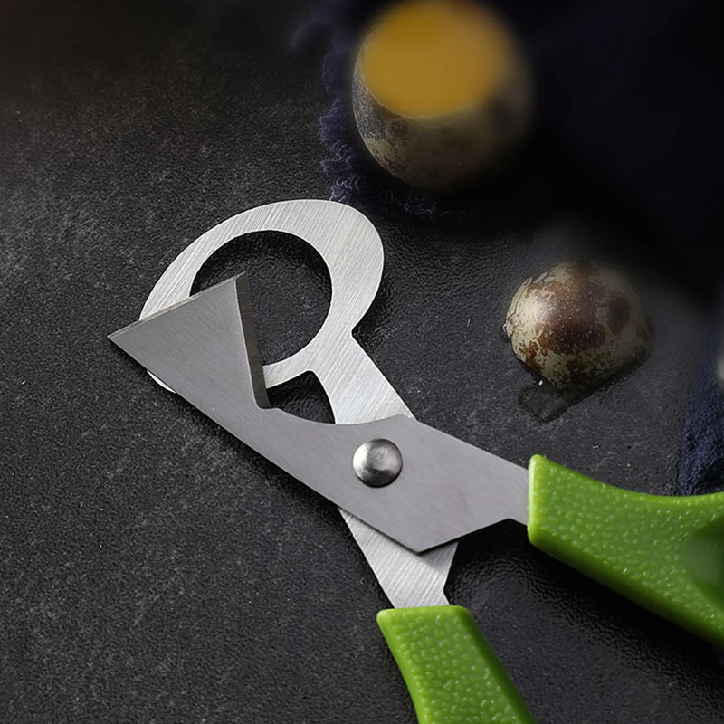 1 шт. Безопасный Прочный голубь перепелиное яйцо ножничный резак для птицы нож