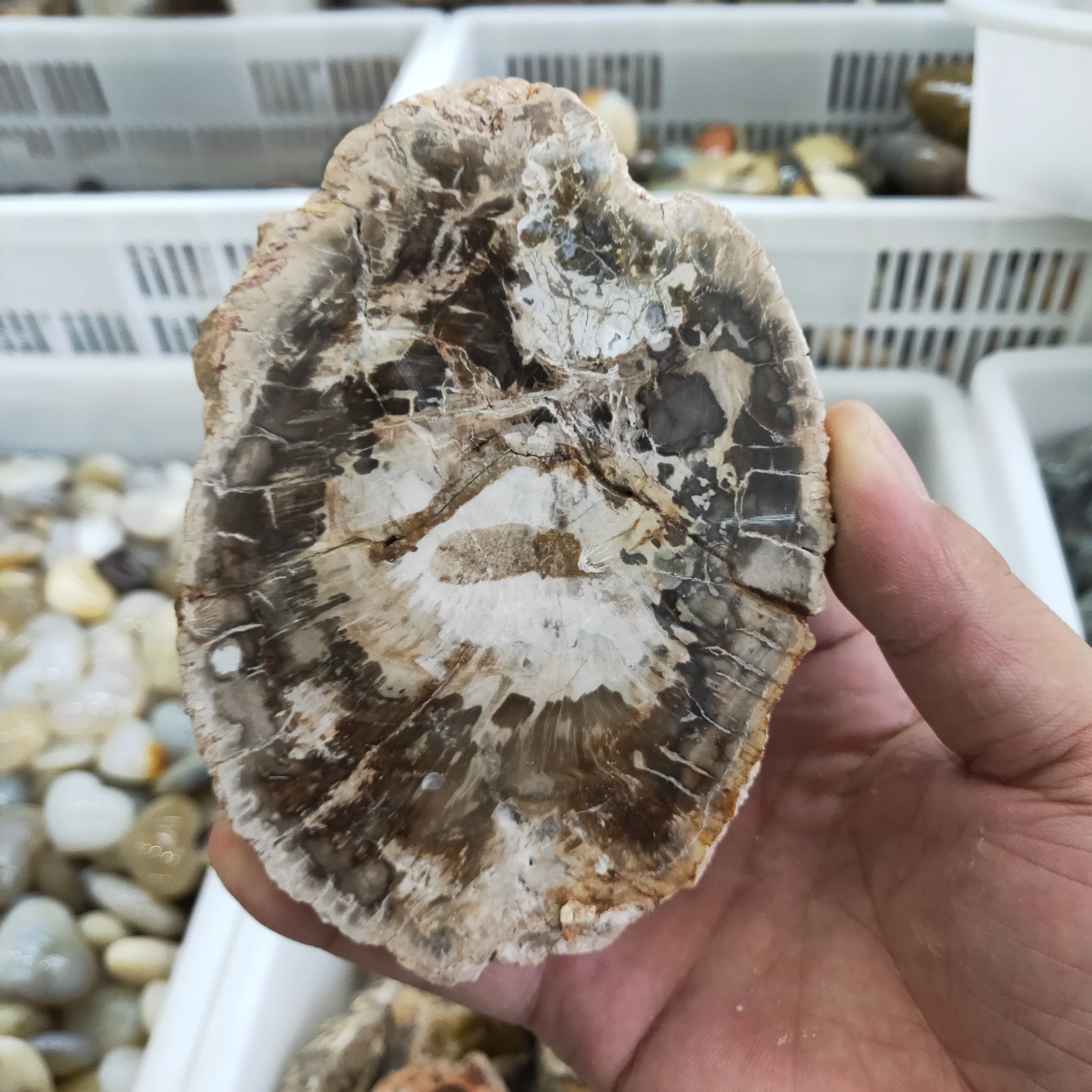 300 г натуральные камни и минералы хрустальный камень ископаемое дерево для