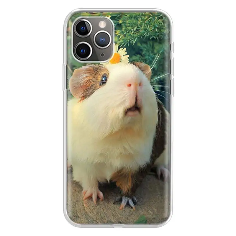 Cute Lovely Pet Hamster Phone Case For iPhone 13 12 11 Pro Max 6 X 8 6S 7 Plus XS XR Mini 5S SE 2020 7P 6P Pattern Cover Coque images - 6