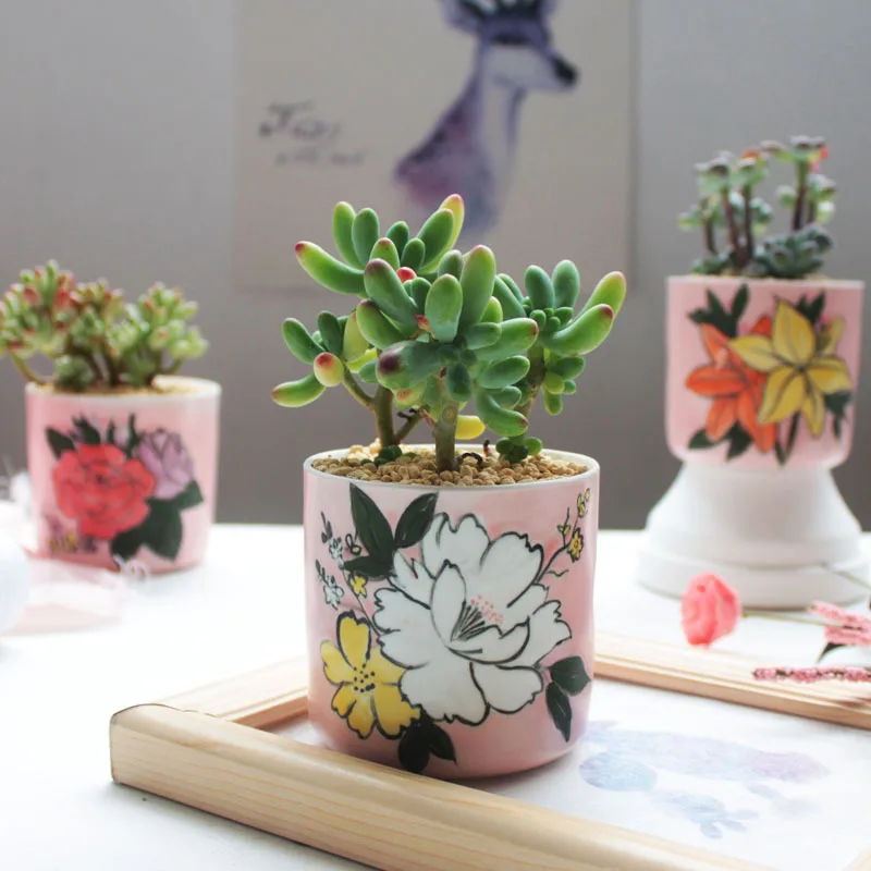 Set of 4 Hand-painting Flower Pots Floral Design Ceramic Planter Succulent Plant Mini Bonsai Home Garden Desktop Decoration | Дом и сад