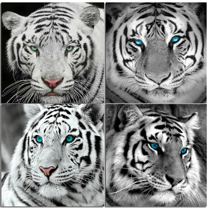 Алмазная 5D картина сделай сам с изображением белого тигра круглая мозаика