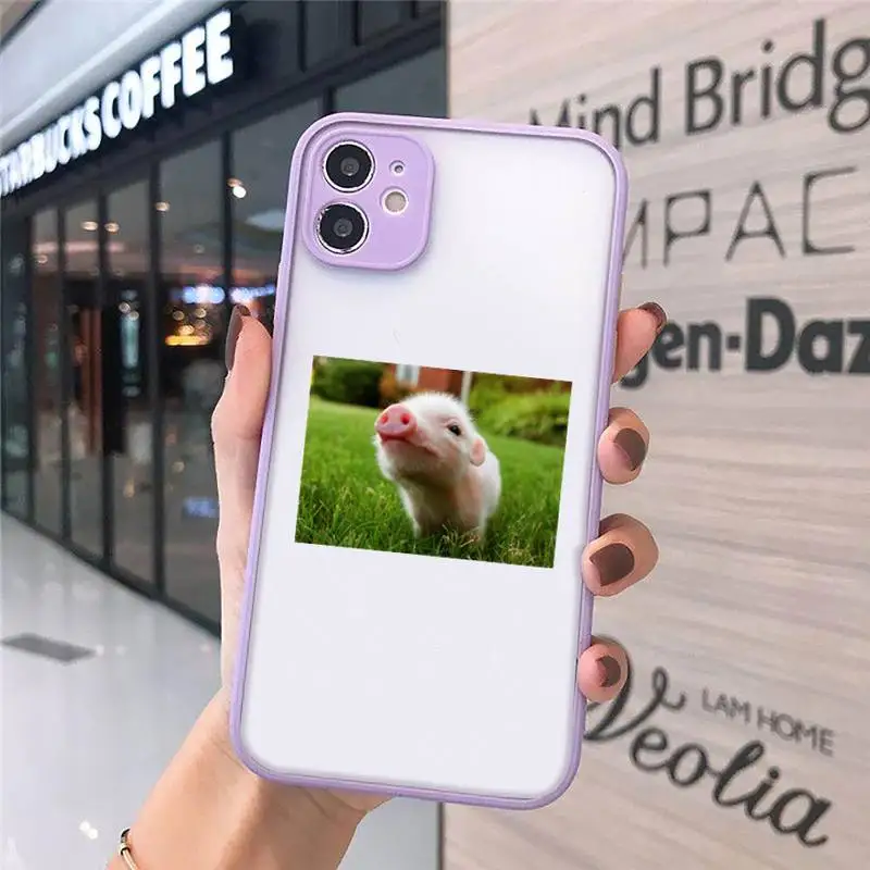 

Cute Little Pink Pet Pig Phone Case For iPhone 12 11 Mini Pro XR XS Max 7 8 Plus X Matte transparent Purple Back Cover
