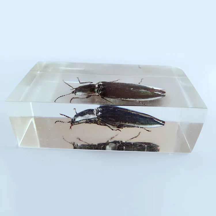 Эратер от насекомых встроенные образцы прозрачный эратер из полимера образец