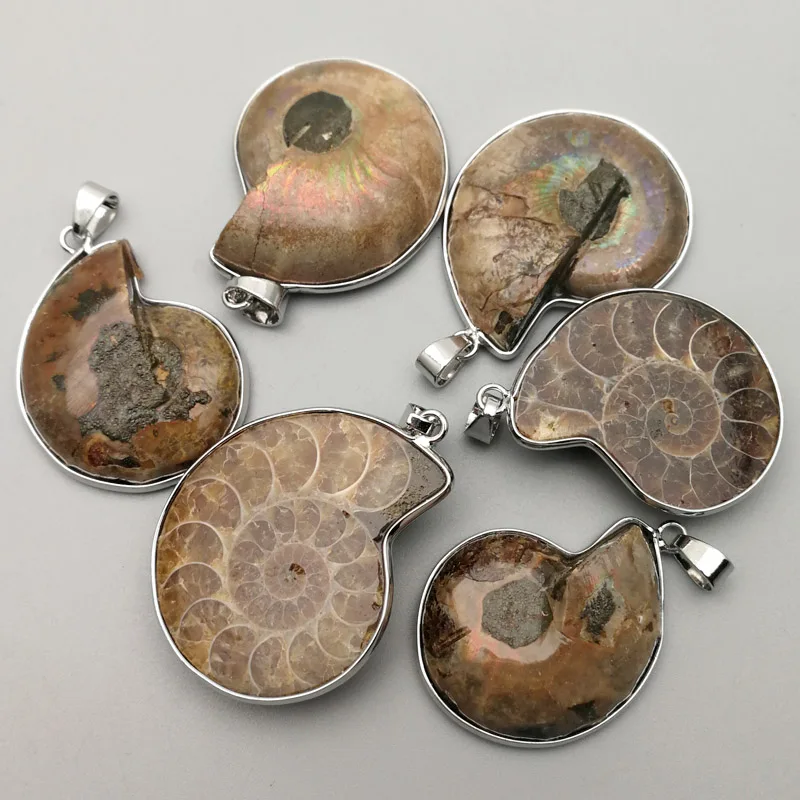 Модная подвеска Улитка и ожерелья из натурального аммония 6 шт. для изготовления