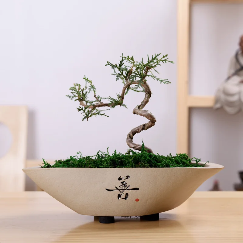 

Vintage Stoneware Fleshy Flower Pot Creative Green Radish Copper Money Grass Water Culture Flower Decoration Ceramic Flower Pot