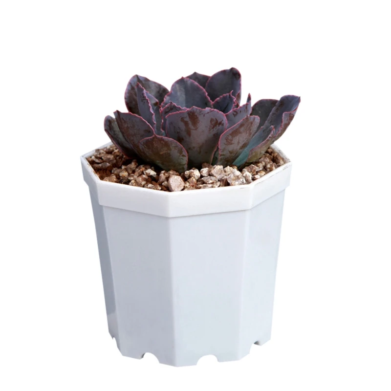 Пластиковый восьмиугольный горшок для цветов 5 шт./упаковка|Цветочные горшки и