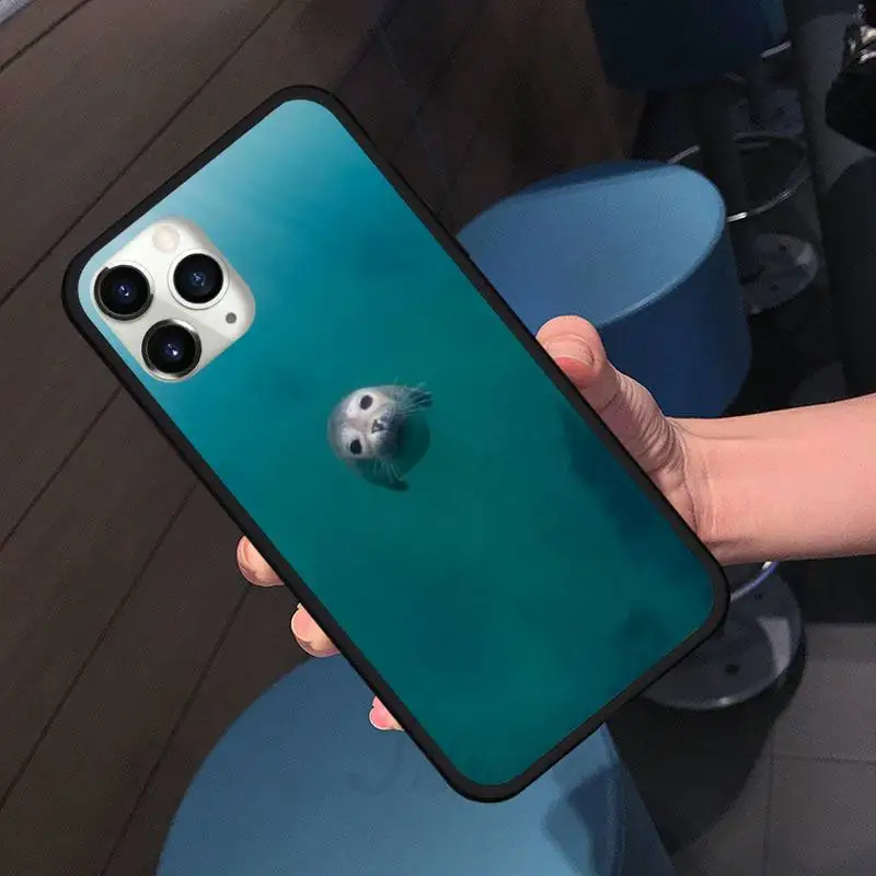 

animal seal cute lovely Phone Case for iPhone 11 12 pro XS MAX 8 7 6 6S Plus X 5S SE 2020 XR Soft silicone accessories