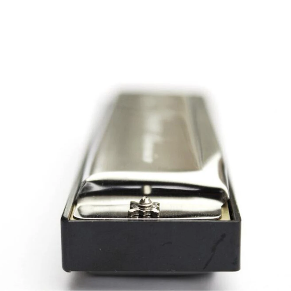 Высокое качество 10 отверстий Губная гармошка с изображением лебедя Ключ C для