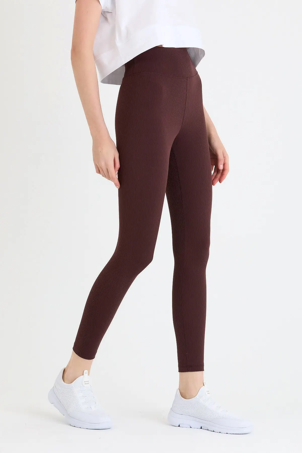 Women's Brown High Bel Ribbed Knit Leggings
