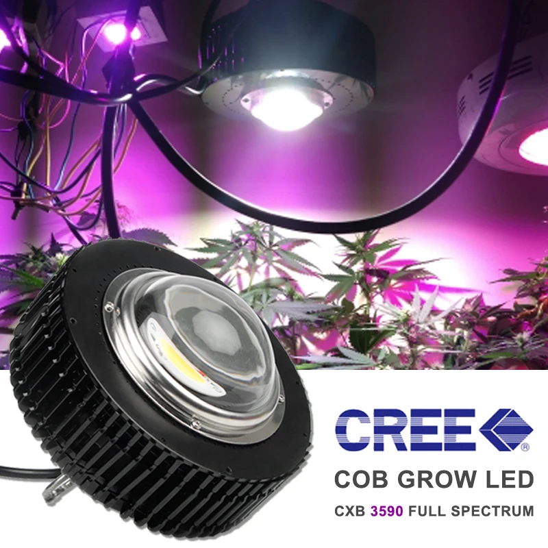 Полный спектр 100 Вт COB светодиодный светильник для выращивания CXB3590 CXB2530 для растений в помещении, лампа для выращивания 3500 K, семена цветов, растущий светильник s
