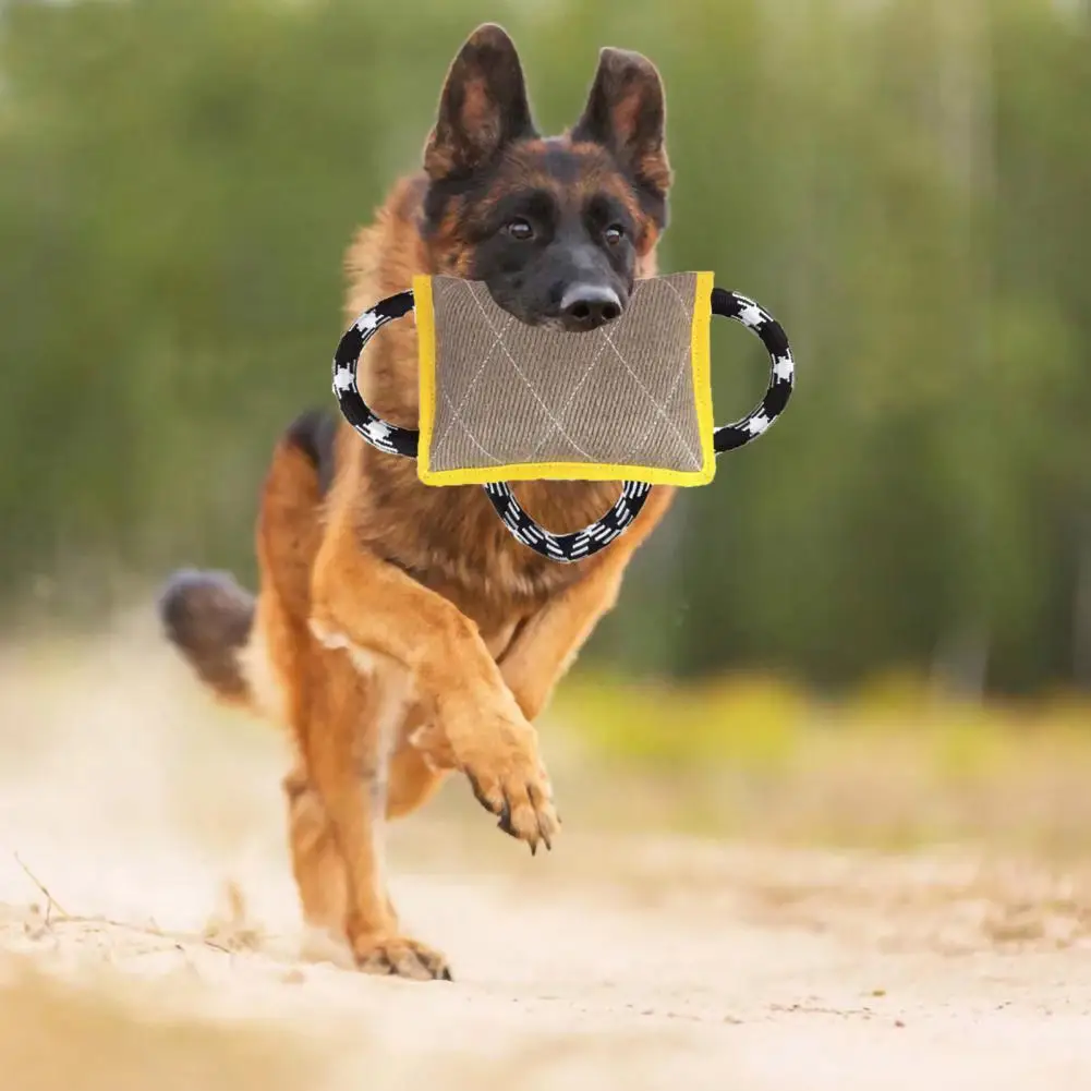 

Тренировочная моющаяся льняная игрушка для собак, товары для домашних животных