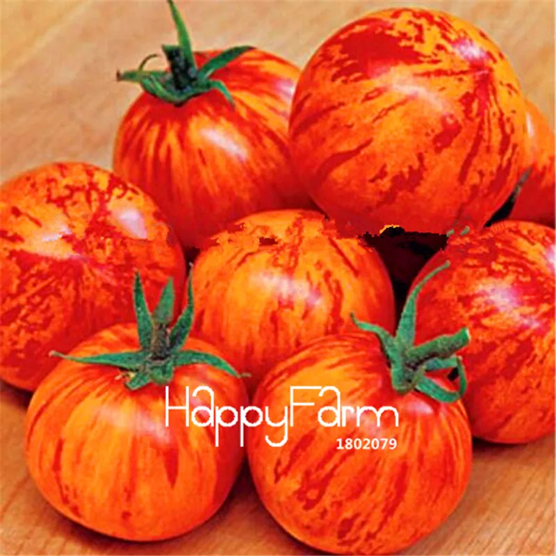 New Fresh 20 Pcs/Lot Rainbow Tomato Plants, bonsai organic vegetable& fruit Plantas,potted plant for home&garden - Цвет: 19