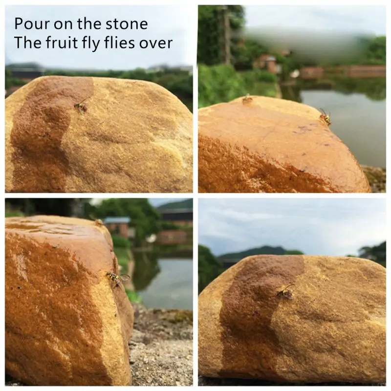 

Liquid Fly Insect Drosophila Wasp Attractant Lure Trap Accessory Gardening Supply G5GB