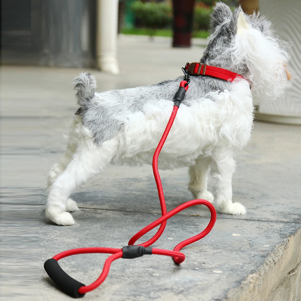 Маленький большой Поводок для собаки набор ремней ошейника нейлоновая