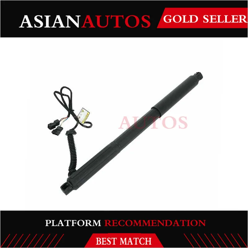 AP03 1*Rear Left Spindle Drive/Gas Strut Spring for AUTO Tailgate Boot BMW X5 E70 51244887651 51247332695 | Автомобили и