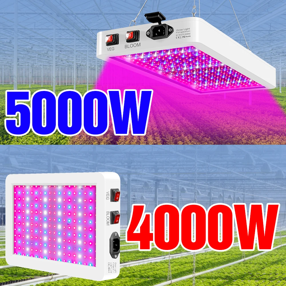 

5000W Plant Light LED Full Spectrum 220V Growth Lighting 4000W Phytolamps Waterproof Fitolampy Greenhouse Flower Seeds Grow Tent