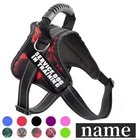 Индивидуальные товары для домашних животных, жгут для больших собак, не тянется, маленький светящийся ошейник, свинцовый жилет для щенков, аксессуары для прогулок с собаками