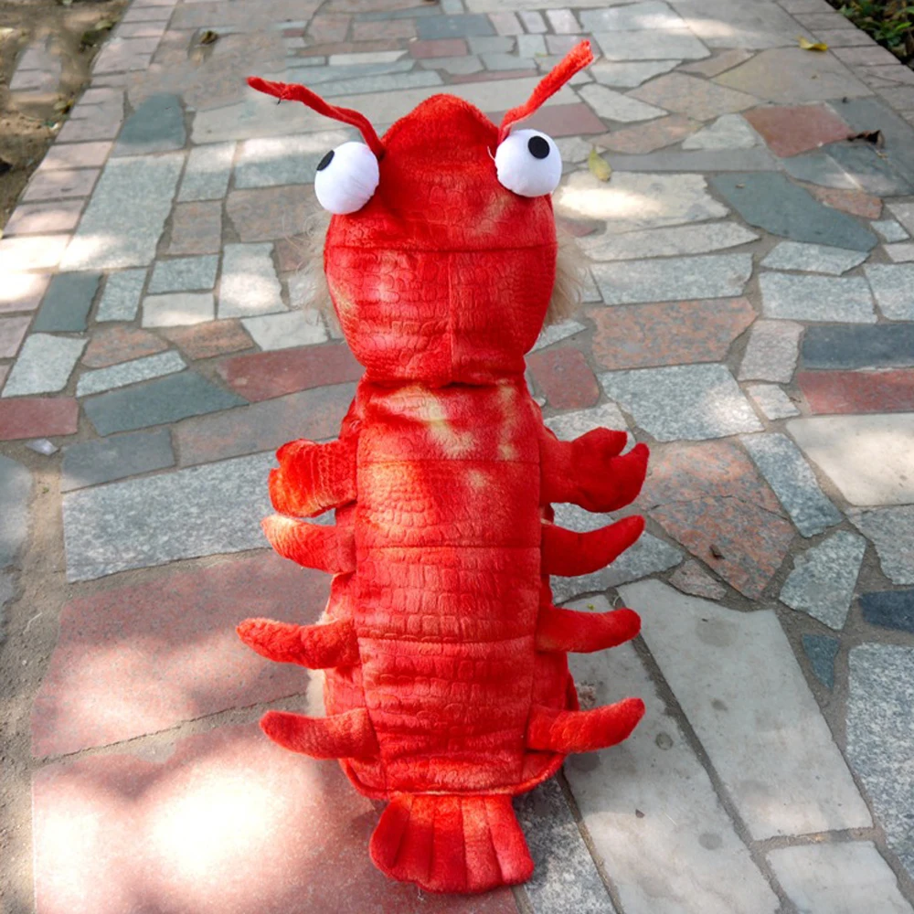 

Personalized Pet Cat Dog Crawfish Clothes Pet Funny Cute Transformation Clothing Outdoor For Small Medium Large Dog