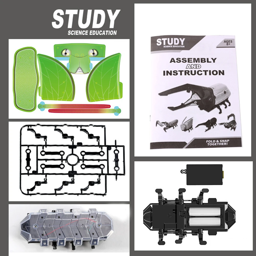 

DIY Electric Walking Mantis Insect Sound Light Assembly Model Education Kids Toy