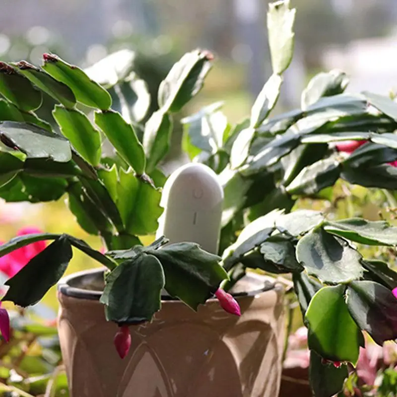 Глобальная версия Цветок монитор садовые растения брутто воды почва питательных