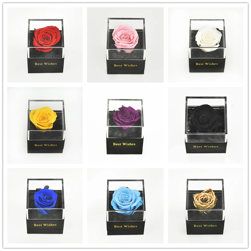 Сохраненный свежий розовое Красота и с рисунком из мультфильма Красавица