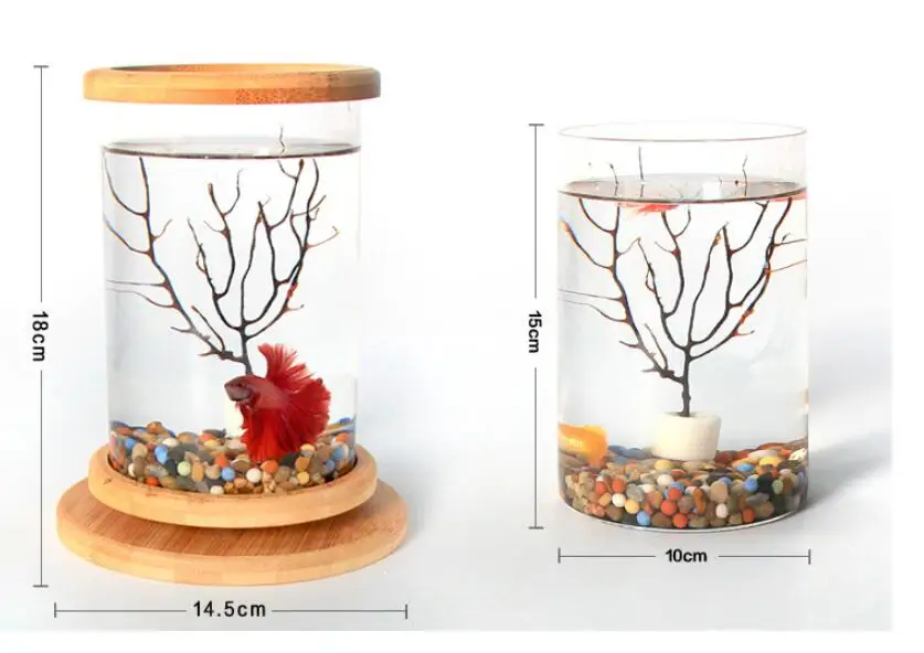 

1pcs DIY Glass Fish Tank Bamboo Base Mini Fish Tank Decoration Accessories Rotate Decoration Desktop Ecological Bottle
