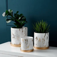 marbling appearance ceramic flower pot succulent planter green plants pot cylindrical shape flowerpot with hole golden tray