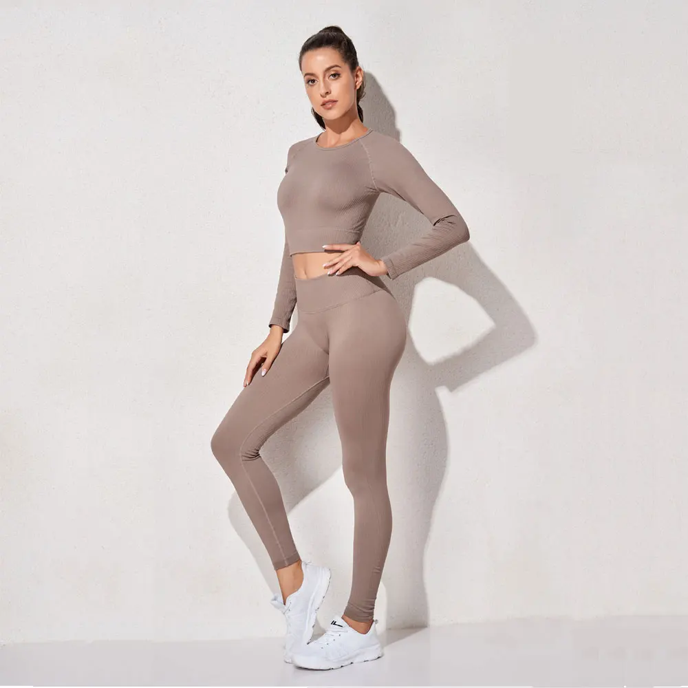 

Seamless Yoga Gym Clothing Women Fitness Sports Solid Suit Long sleeve High Waist Leggings 2/3 Piece Set
