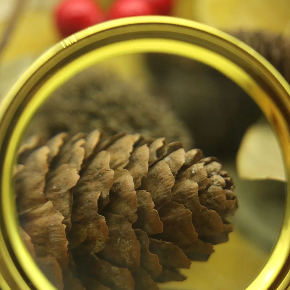 

Montessori Material Sensory Shell and Leaves Observation Montessori Educational Wooden Toys for Children Science Learning L2346F