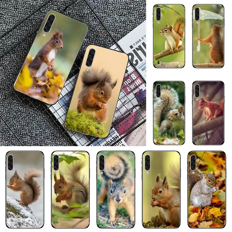 

Squirrel Cute animal Phone Case For Samsung galaxy A S note 10 7 8 9 20 30 31 40 50 51 70 71 21 s ultra plus