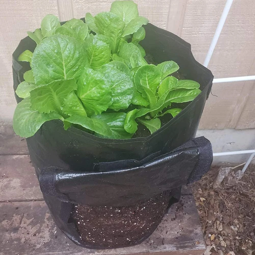 Выращивание картофеля Bag полиэтиленовый пакет для овощей лука растений с ручкой