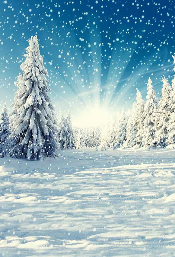 Фон Mehofond для фотосъемки с изображением зимнего леса солнечного света снежного